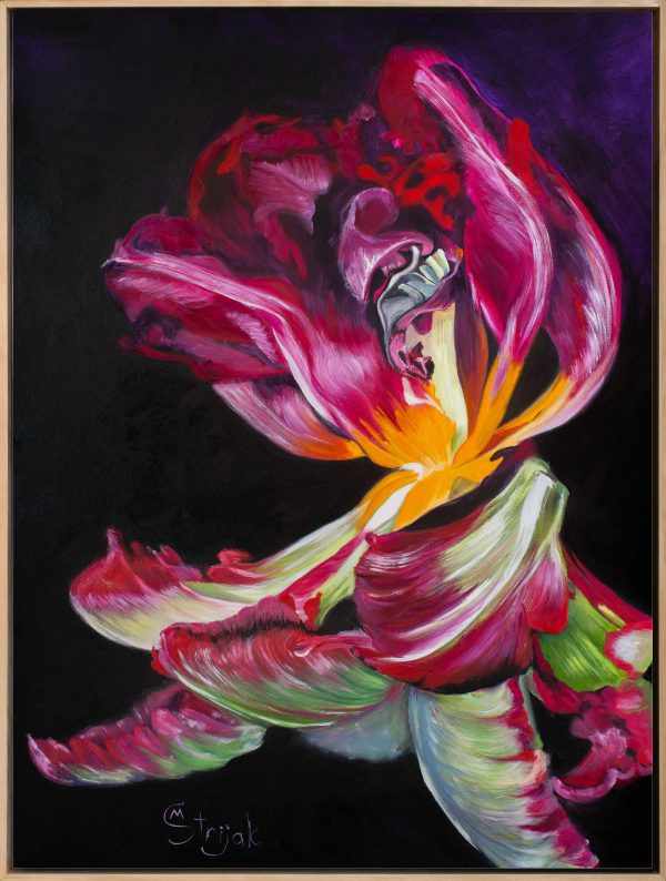 Lidiya - a large, 102x76cm oil on canvas painting, depicting a beautiful red parrot tulip flower on a dramatic black background - framed